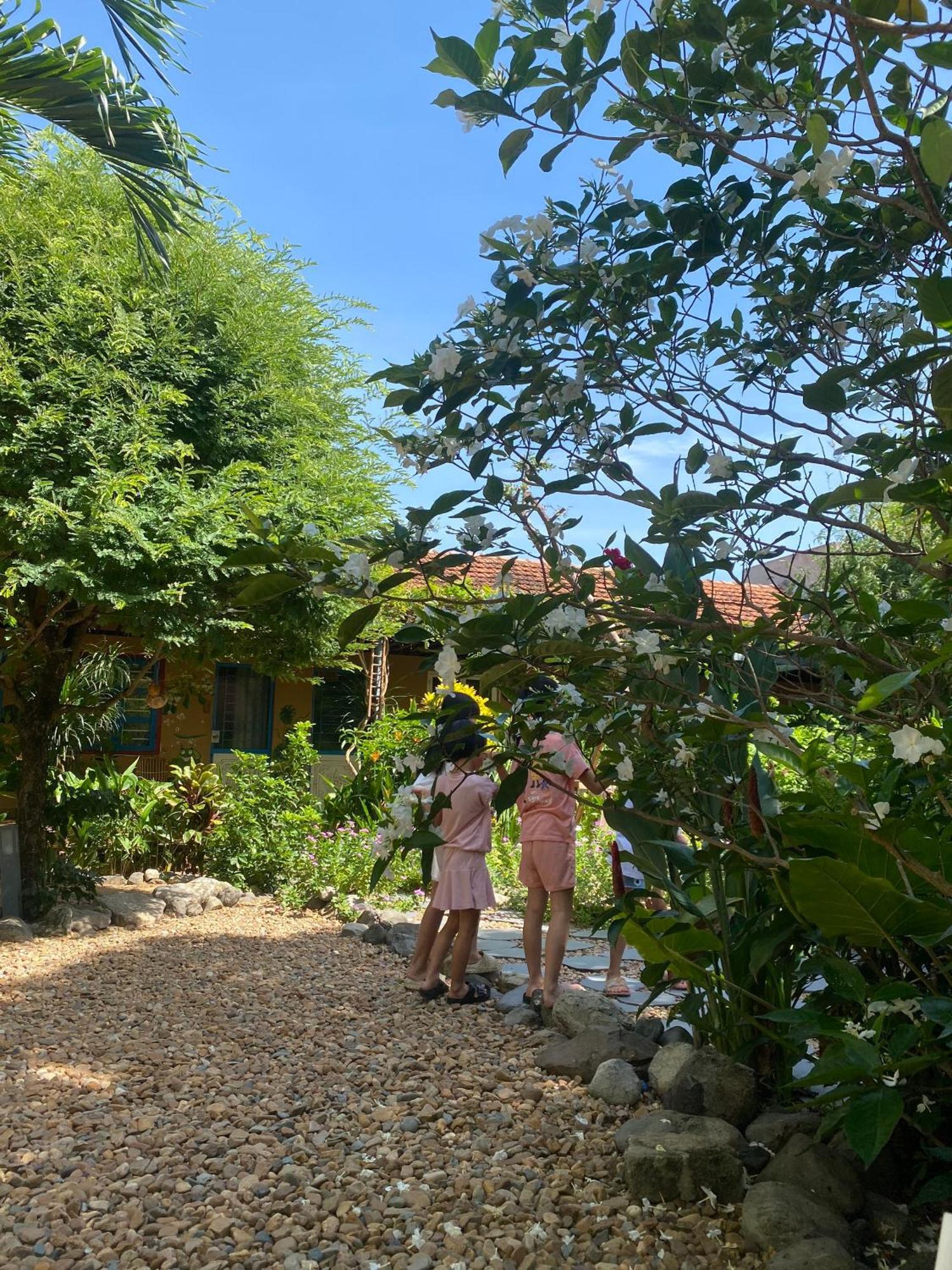Yellow Farm Homestay Dong Tac Eksteriør billede