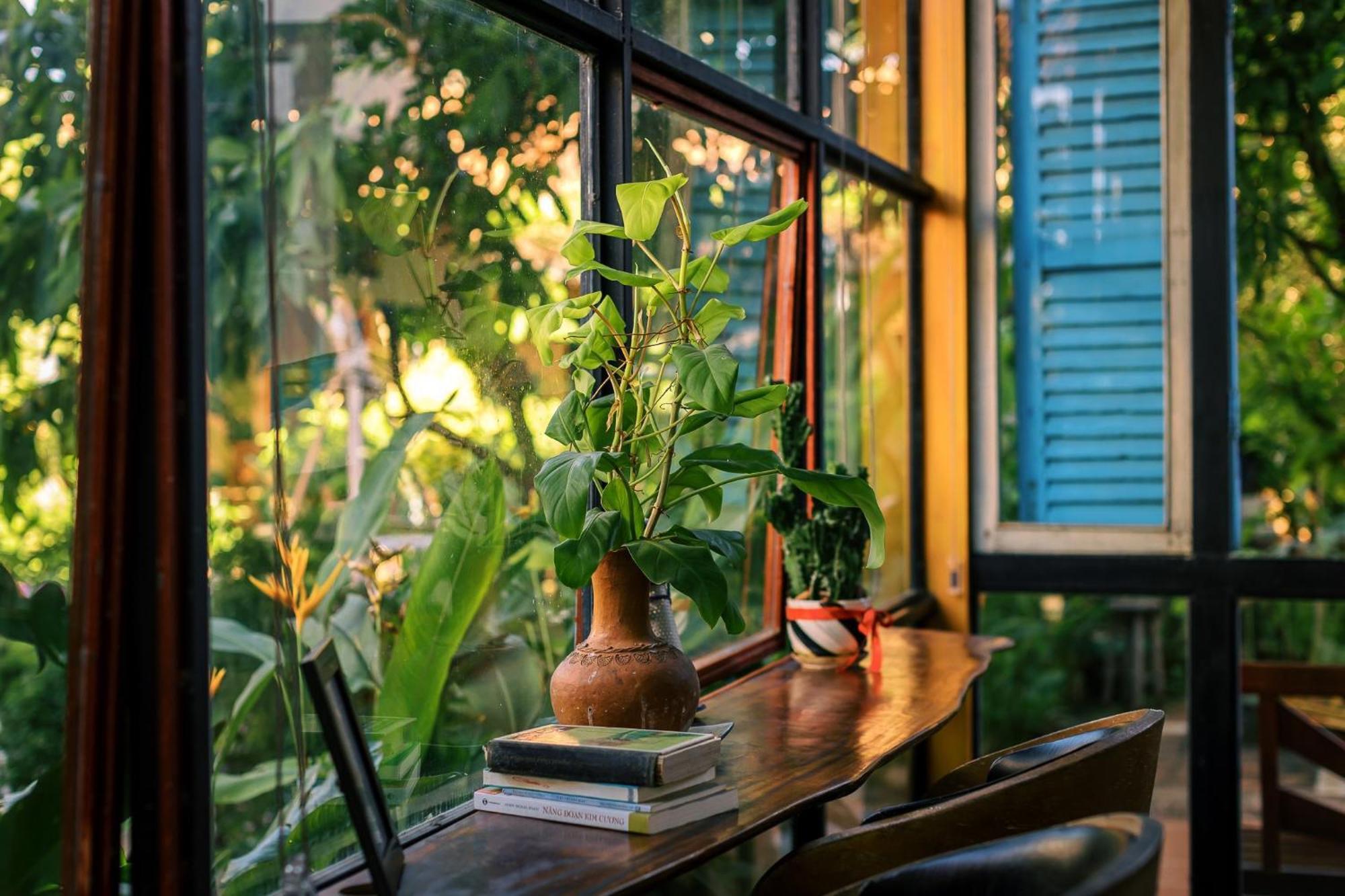 Yellow Farm Homestay Dong Tac Eksteriør billede
